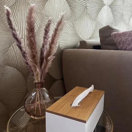 Lägenhet Maison De Vichy